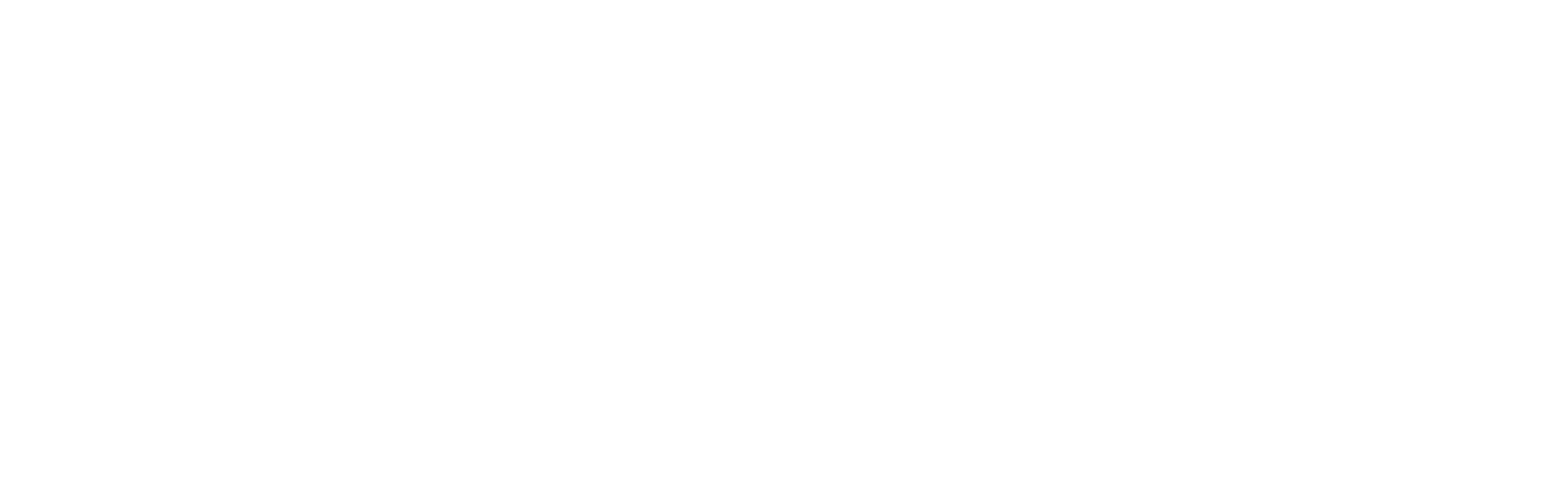 Logo Sol Naciente